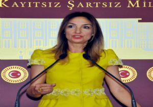 GÖKÇEK E SÜRPRİZ RAKİP!